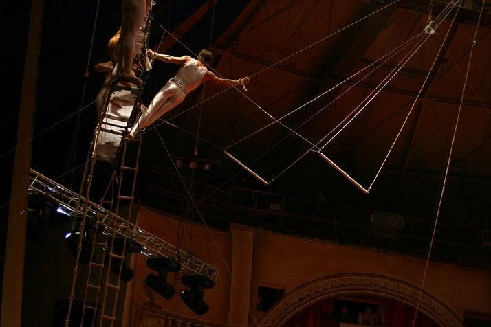 What Does a Trapeze Artist Do?